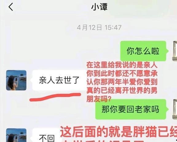 胖猫网友爆料视频,揭秘网络红人幕后真相  第3张