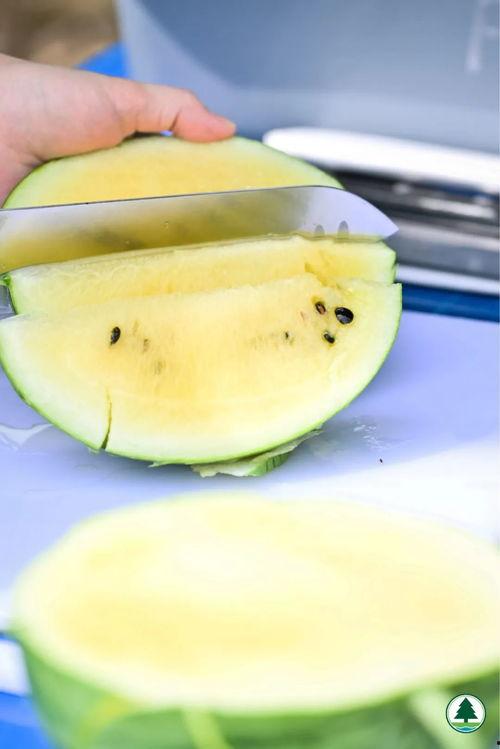 香港网红吃瓜,幕后故事与热门话题盘点